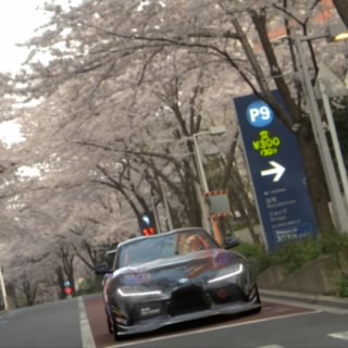 のむさん