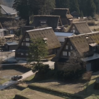 リリー