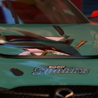 sharks1nose