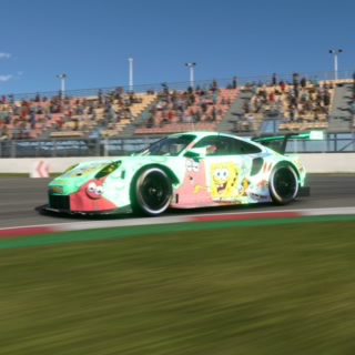 SBR_Ruan29