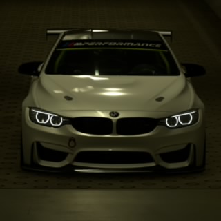 Niklas 231