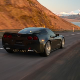 ARIS335