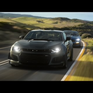 LS Lion