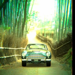 Nomade
