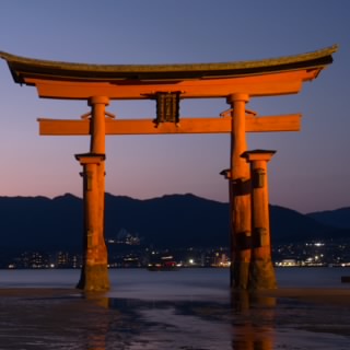 CyrusNiki-GT-JPN