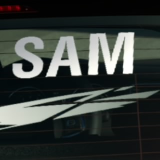 S. Samik