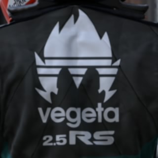 vegeta25rs