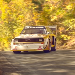 Saccoapelo12