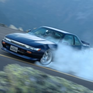 torisasi_1