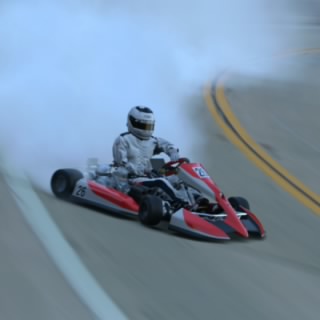 WillfulParsley2