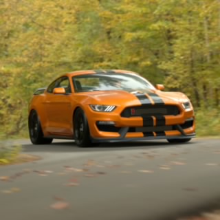 Orange Guy