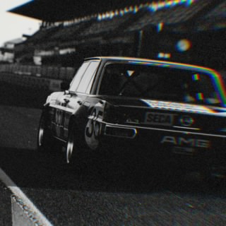 The Stig