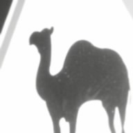 Salidus .1