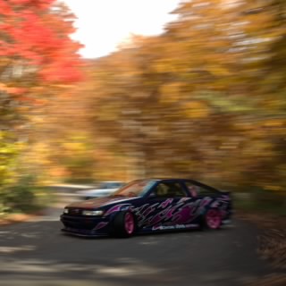 Dale