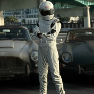 THESTIG