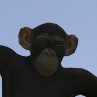 Augustin