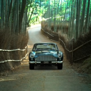 Shawshank325