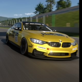 Bartii