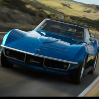 CrazyAntelope24