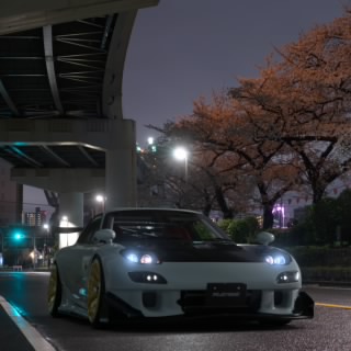 tttt