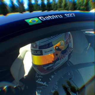 Gabiru_027