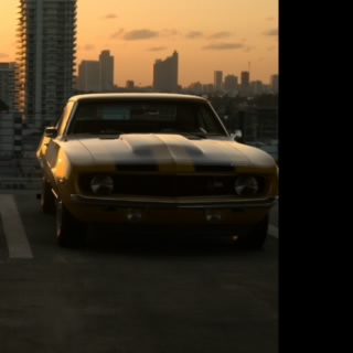 Devoid206