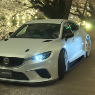 Cypridu12 
