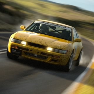 Aegisia