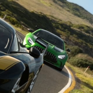 Monty_green69