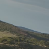 Divino dIvI
