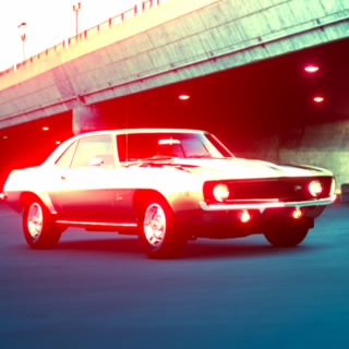 Detroitcougar