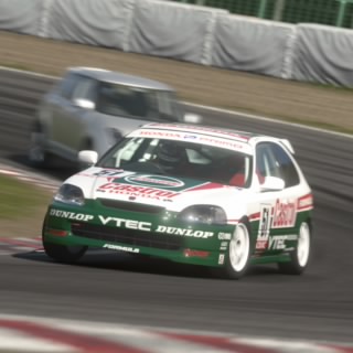 Cav1331