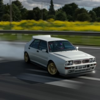 Rotwild8X