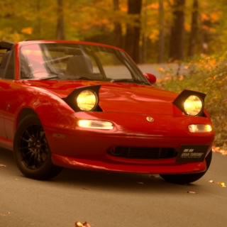 Raccoon_Racing