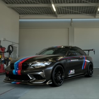 Schnitzer74