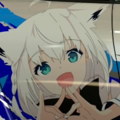 すこんじゃい