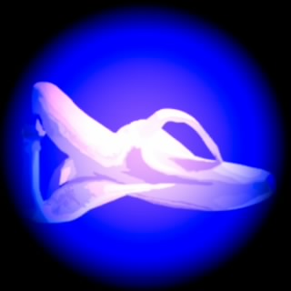 ヤミィ