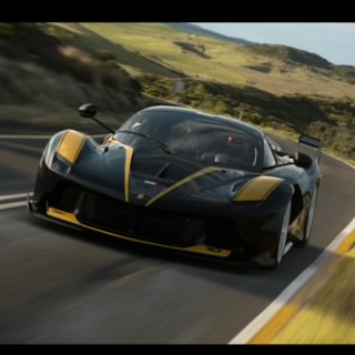 WILLTOR_81