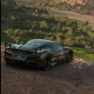 Tomejunior10