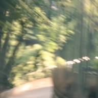 Rswolf0