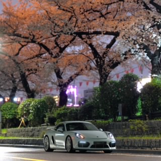 ししゃも。