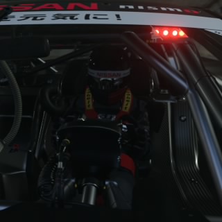 CRRT_BigWolF07