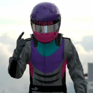 F1 Pigeon