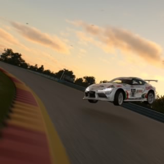 Brinzler17