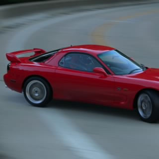 Rif17