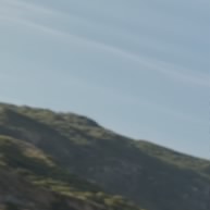 Piggeoona
