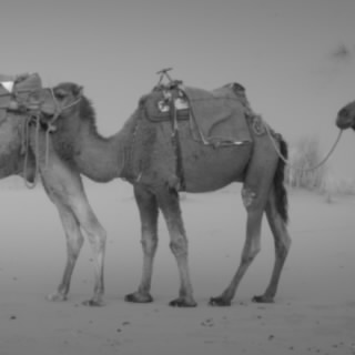 NAWAFALS_1