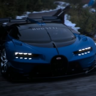 CJ_310