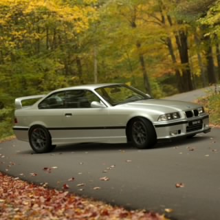 Darek Bmw 