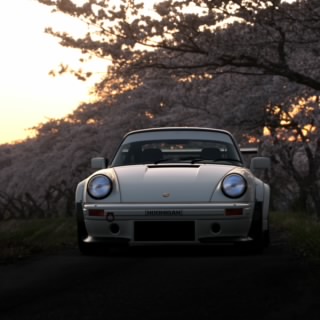Horizon